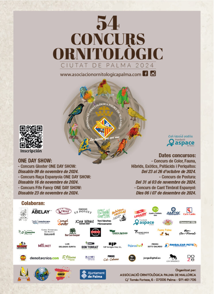 Poster 2024 – Plubicidades 1-01