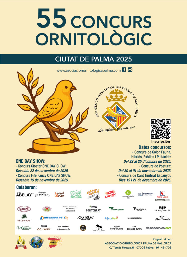 Poster 2025 - Plubicidades-01-02-01